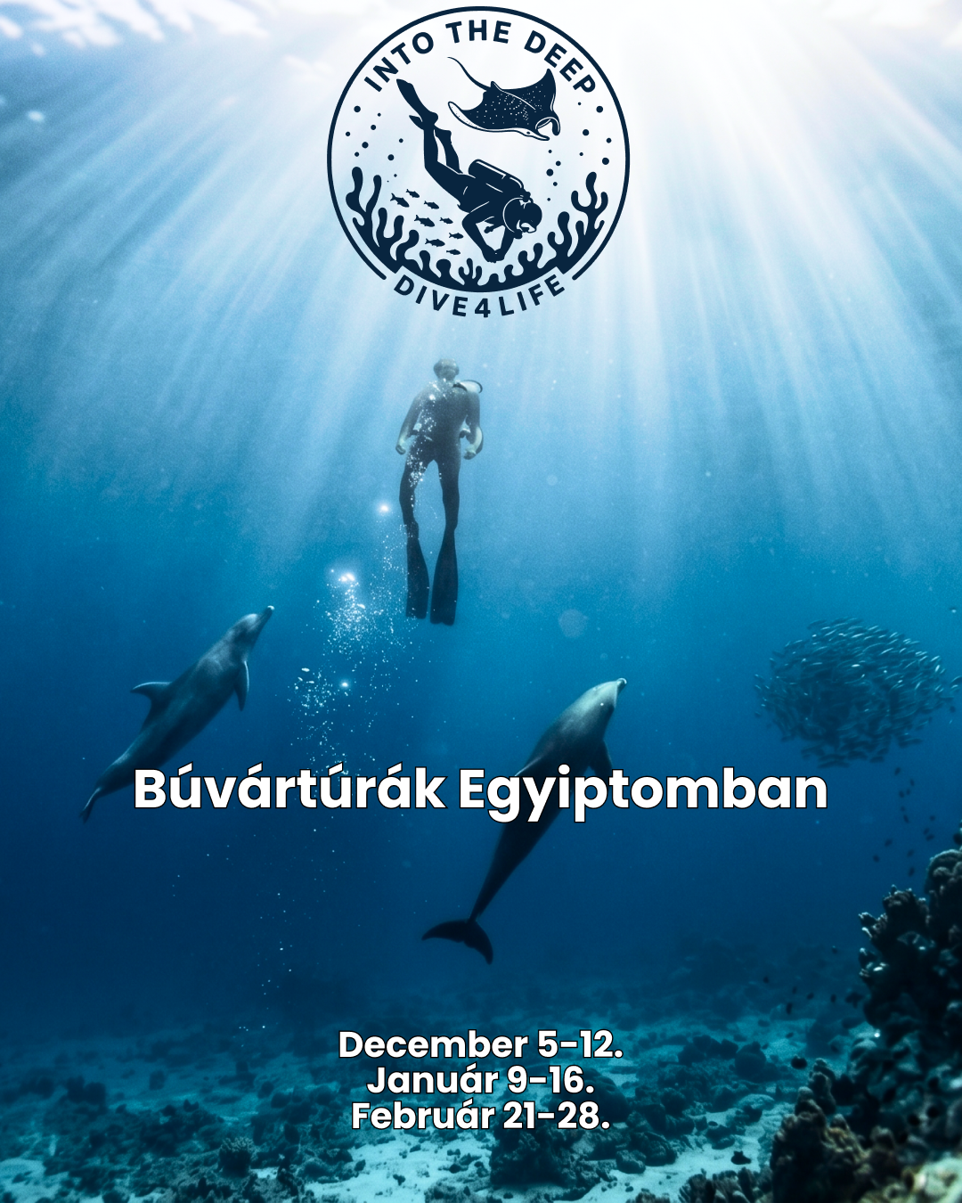 Marsa Shagra December 5-12. - Egyiptom Dive4Life