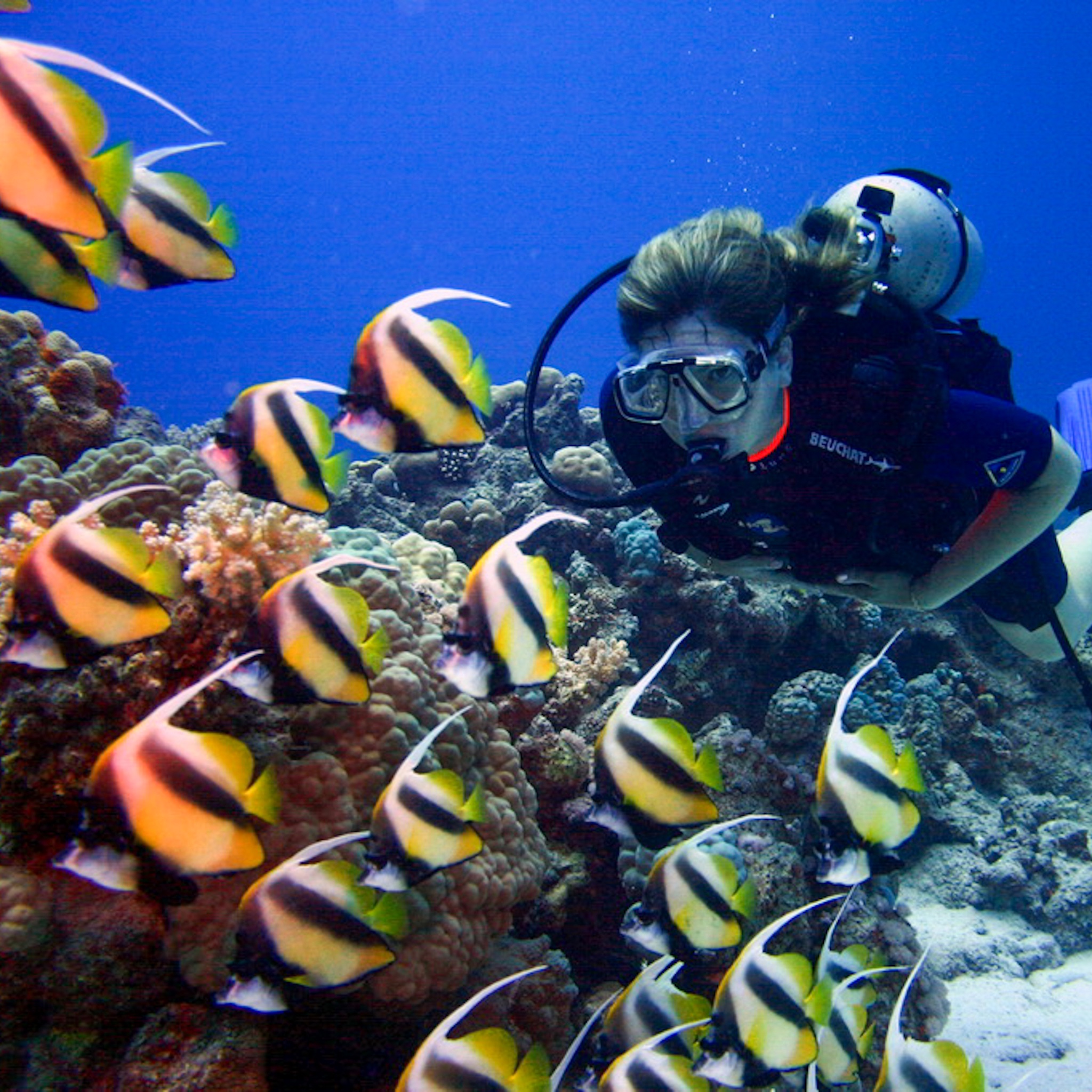Dive4Life