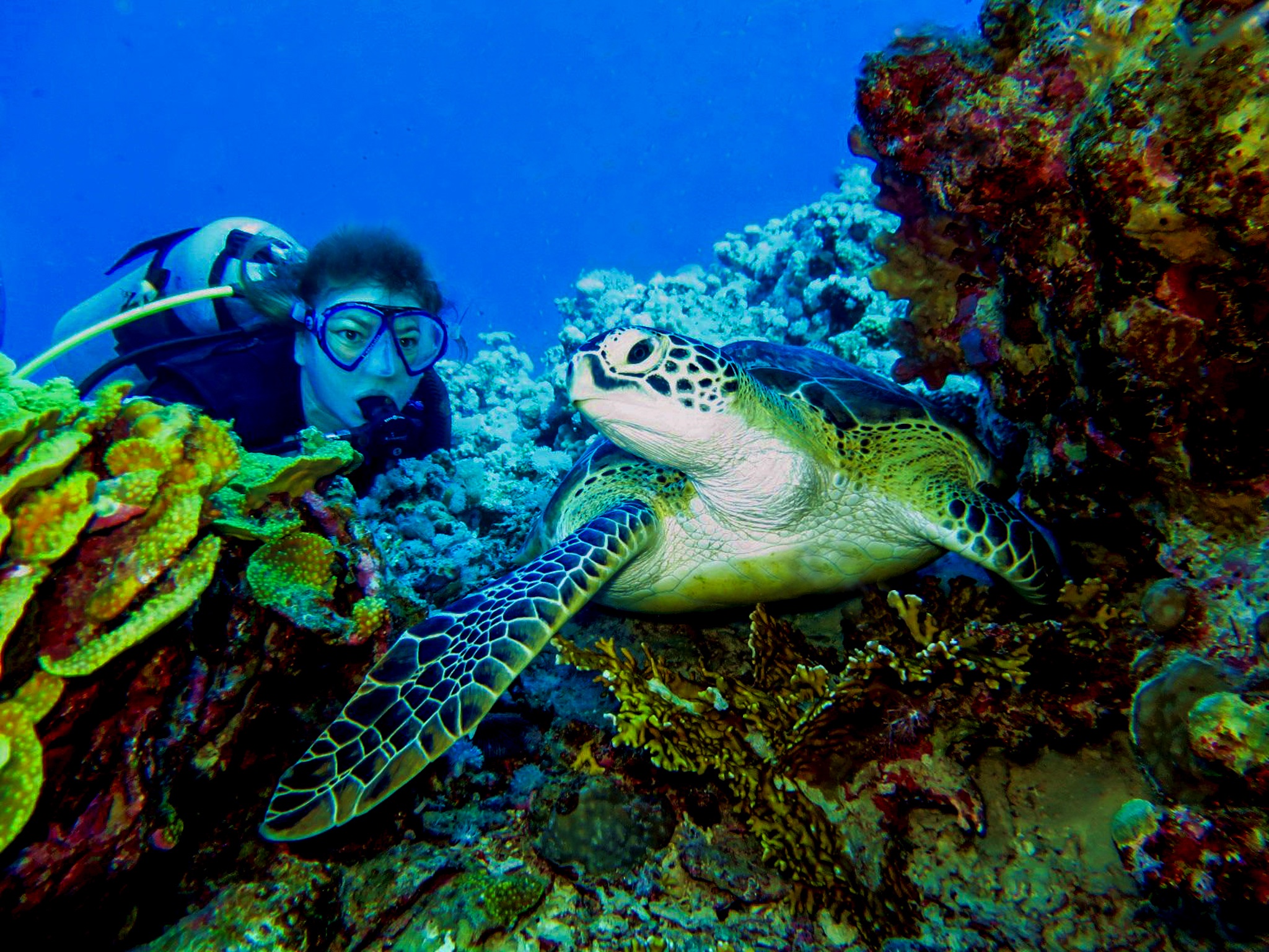 Dive4Life