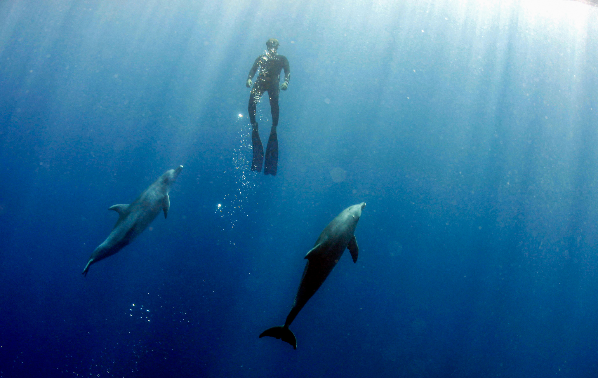 Dive4Life