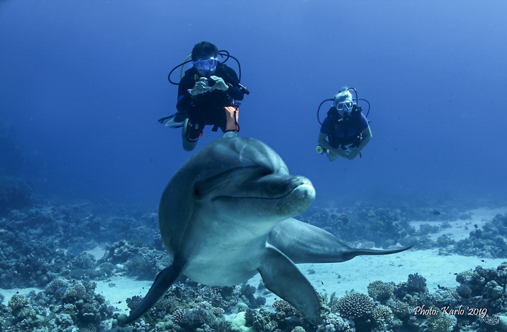 Dive4Life