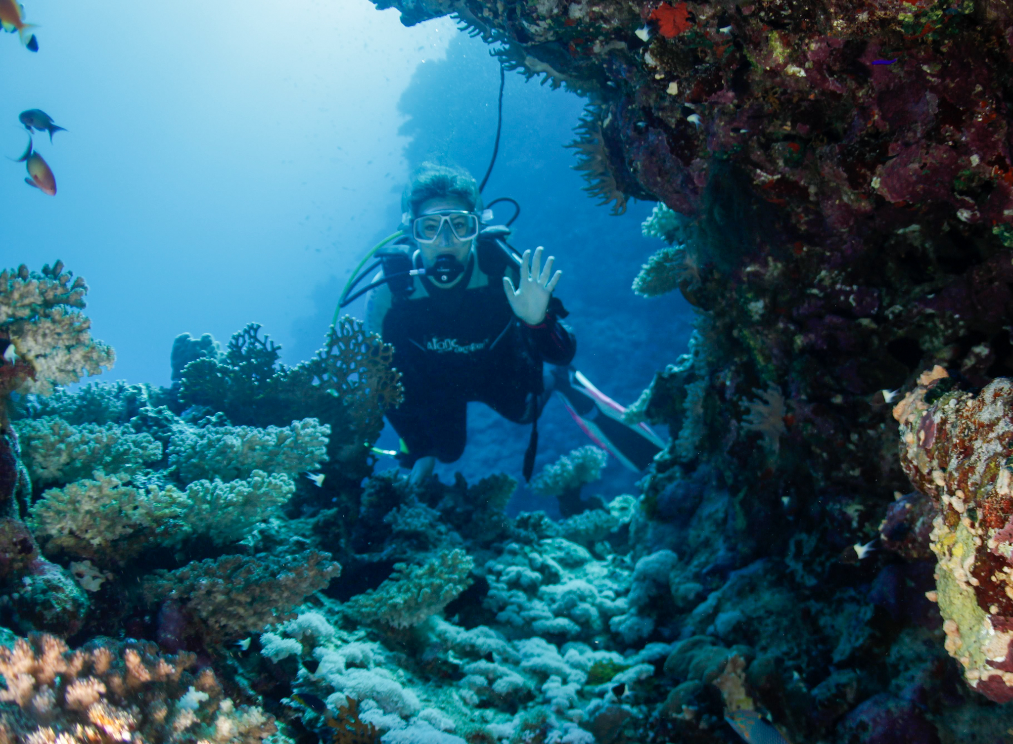 Dive4Life